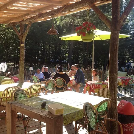 Safari Lodge Du Grand Bois 3* Avignon