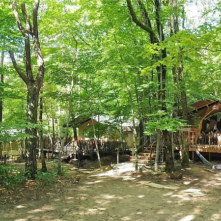 Safari Lodge Du Grand Bois